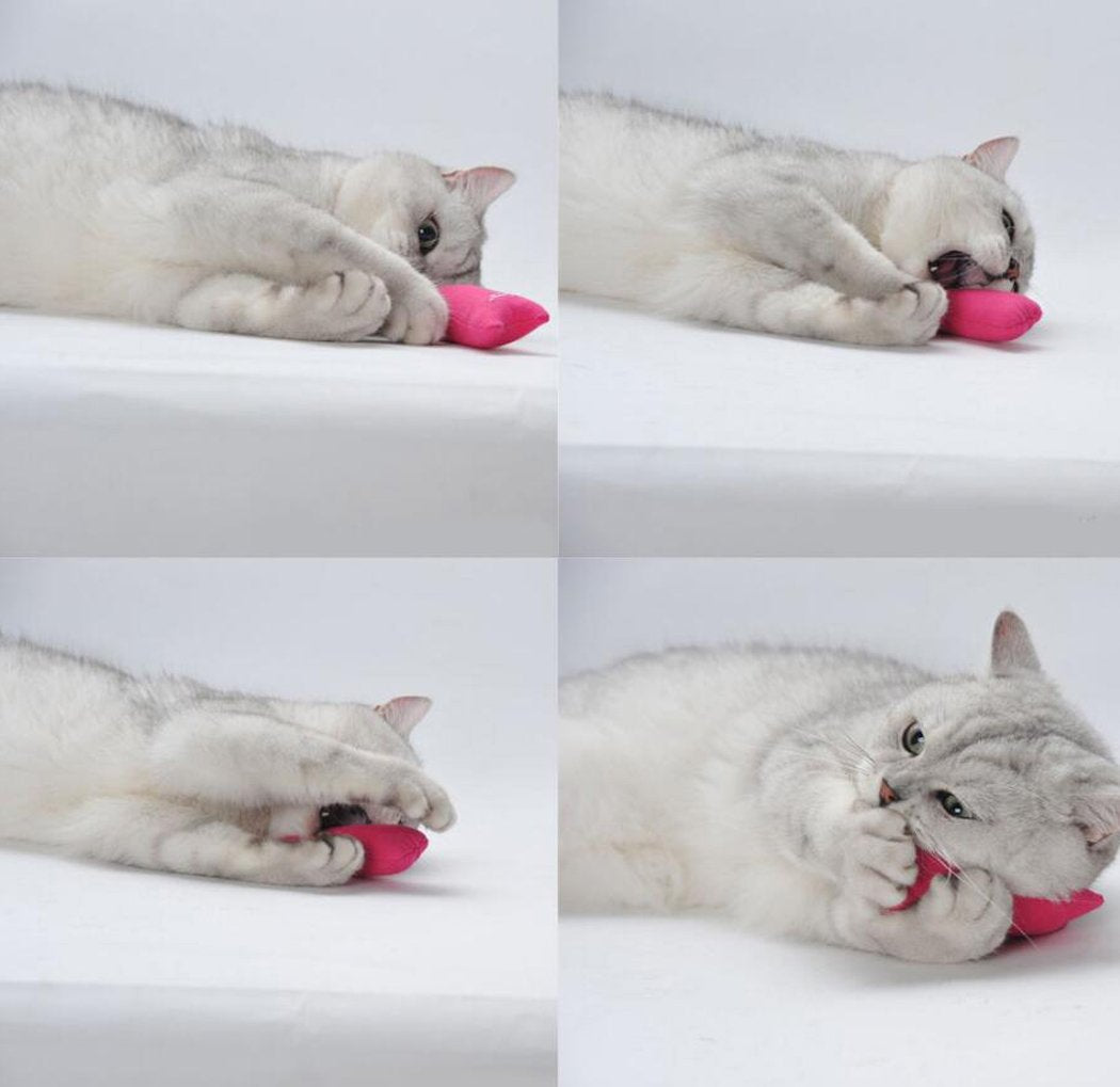 Legendog 5Pcs Bite Resistant Catnip Toy for Cats,Catnip Filled Cartoon Mice Cat Teething Chew Toy