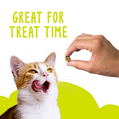 Purina Friskies Natural Cat Treats Party Mix Natural Yums With Real Salmon and Added Vitamins, Minerals and Nutrients - 20 oz. Canister