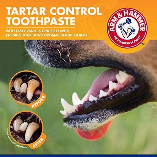 Arm & Hammer for Pets Tartar Control Kit for Dogs | Contains Toothpaste, Toothbrush & Fingerbrush | Reduces Plaque & Tartar Buildup | Safe for Puppies, 3-Piece , Beef Flavor