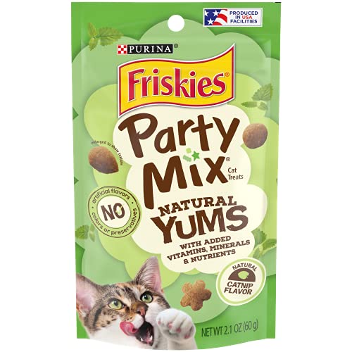 Purina Friskies Natural Cat Treats Party Mix Natural Yums With Real Salmon and Added Vitamins, Minerals and Nutrients - 20 oz. Canister