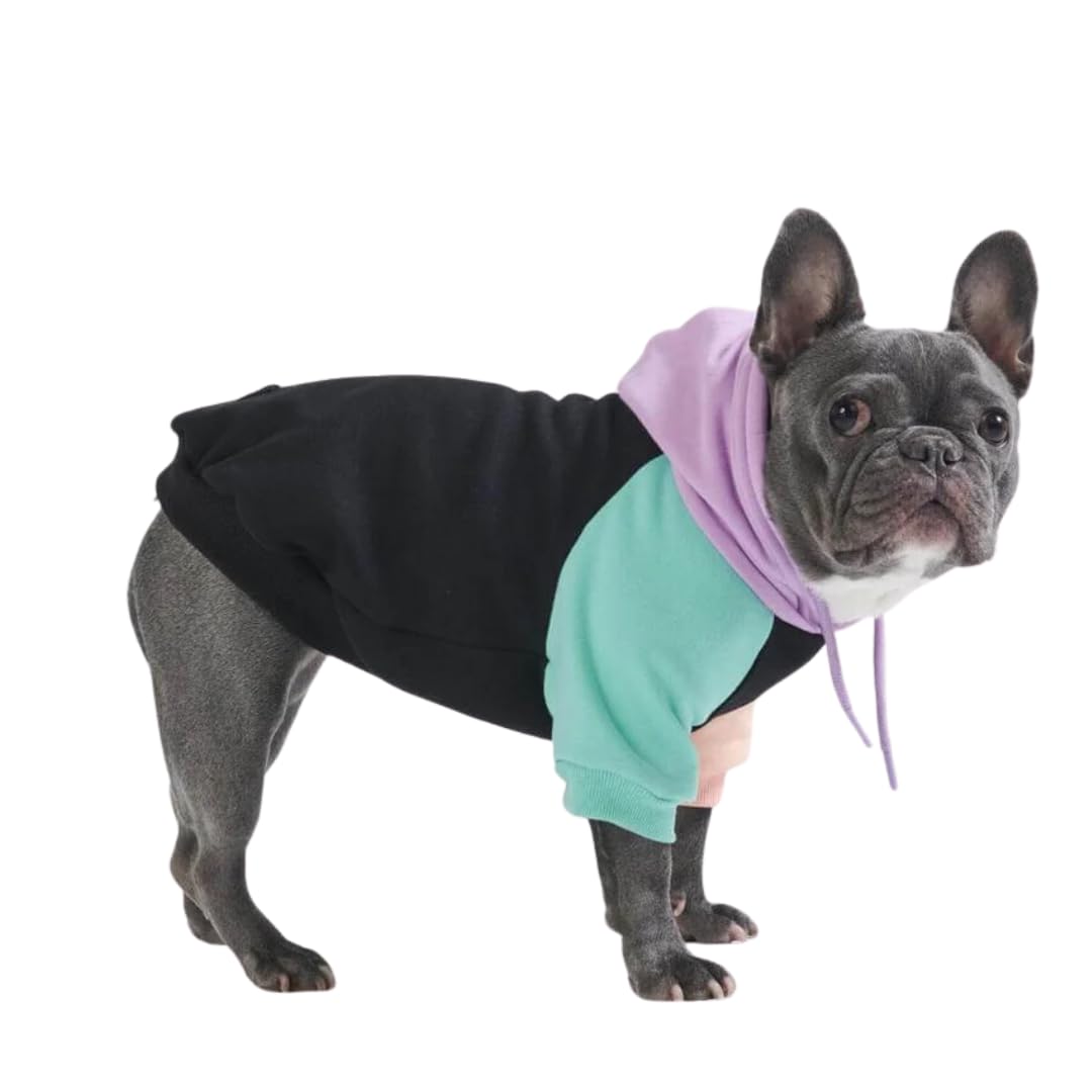 Spark Paws Dog Hoodie - Premium Quality, Buttery Soft, Superior Comfort and Fit, Calming Fleece Interior, Suitable for All Breeds - Cyber Punk - XL