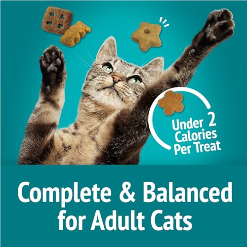 Purina Friskies Natural Cat Treats Party Mix Natural Yums With Real Salmon and Added Vitamins, Minerals and Nutrients - 20 oz. Canister