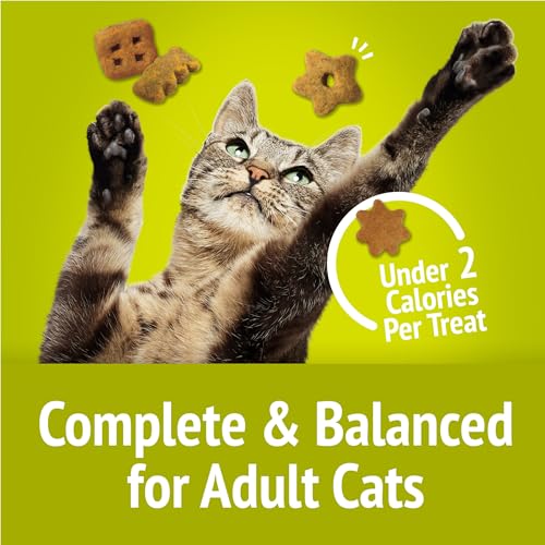 Purina Friskies Natural Cat Treats Party Mix Natural Yums With Real Salmon and Added Vitamins, Minerals and Nutrients - 20 oz. Canister