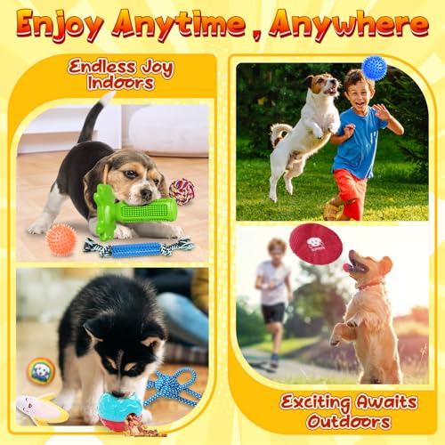 KIPRITII 25 Pack Various Puppy Dog Toys for Teething, Entertainment & Interaction, Puppy Chew Toys Pack with Rope Toys, Treat Balls and Dog Squeaky Toys for Puppy & Small Dogs