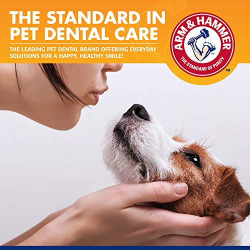 Arm & Hammer for Pets Tartar Control Kit for Dogs | Contains Toothpaste, Toothbrush & Fingerbrush | Reduces Plaque & Tartar Buildup | Safe for Puppies, 3-Piece , Beef Flavor