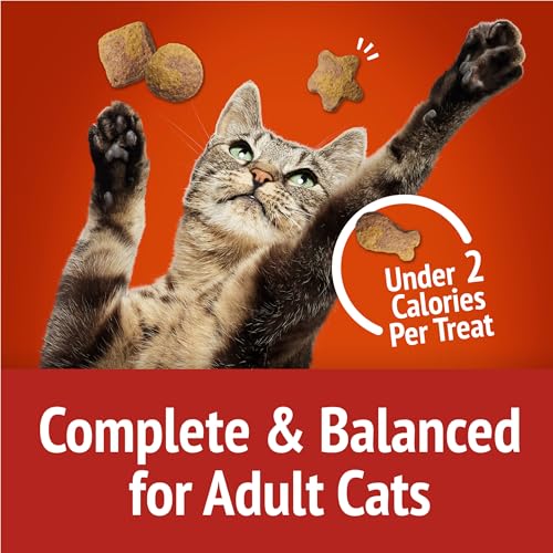 Purina Friskies Natural Cat Treats Party Mix Natural Yums With Real Salmon and Added Vitamins, Minerals and Nutrients - 20 oz. Canister