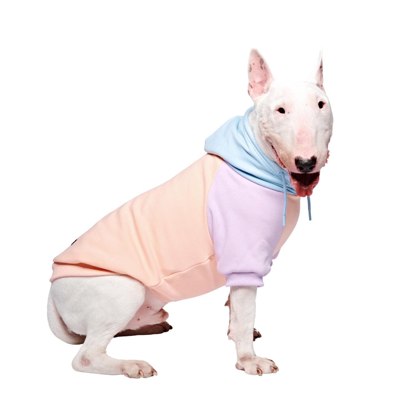 Spark Paws Dog Hoodie - Premium Quality, Buttery Soft, Superior Comfort and Fit, Calming Fleece Interior, Suitable for All Breeds - Cyber Punk - XL