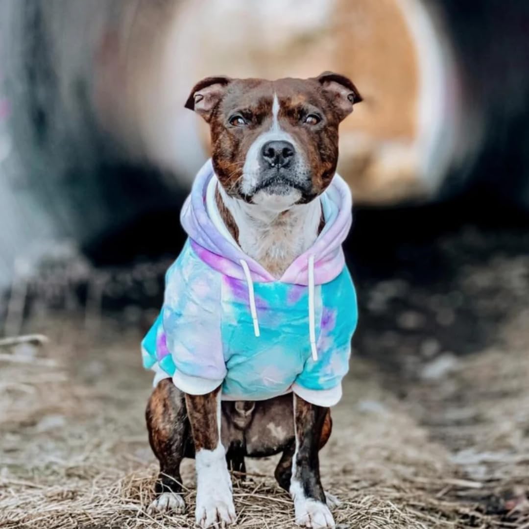 Spark Paws Dog Hoodie - Premium Quality, Buttery Soft, Superior Comfort and Fit, Calming Fleece Interior, Suitable for All Breeds - Cyber Punk - XL