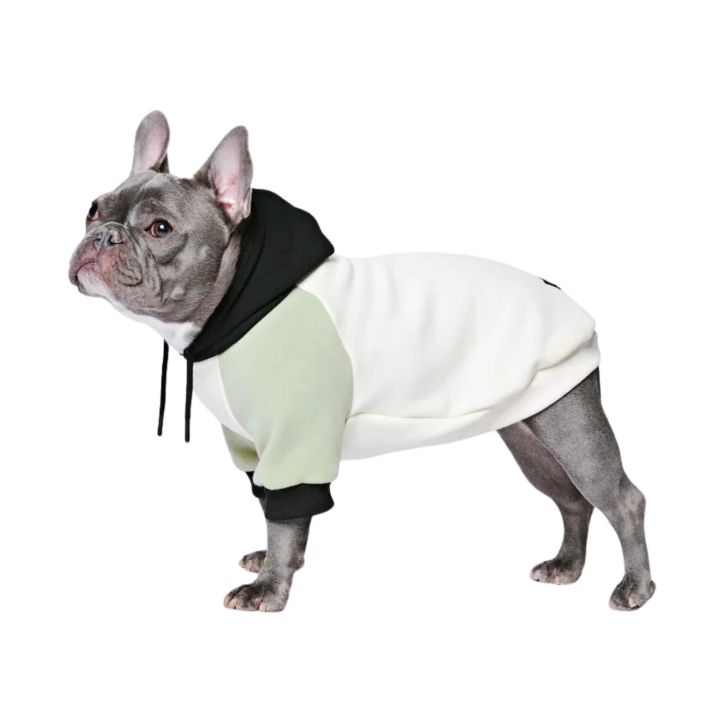 Spark Paws Dog Hoodie - Premium Quality, Buttery Soft, Superior Comfort and Fit, Calming Fleece Interior, Suitable for All Breeds - Cyber Punk - XL