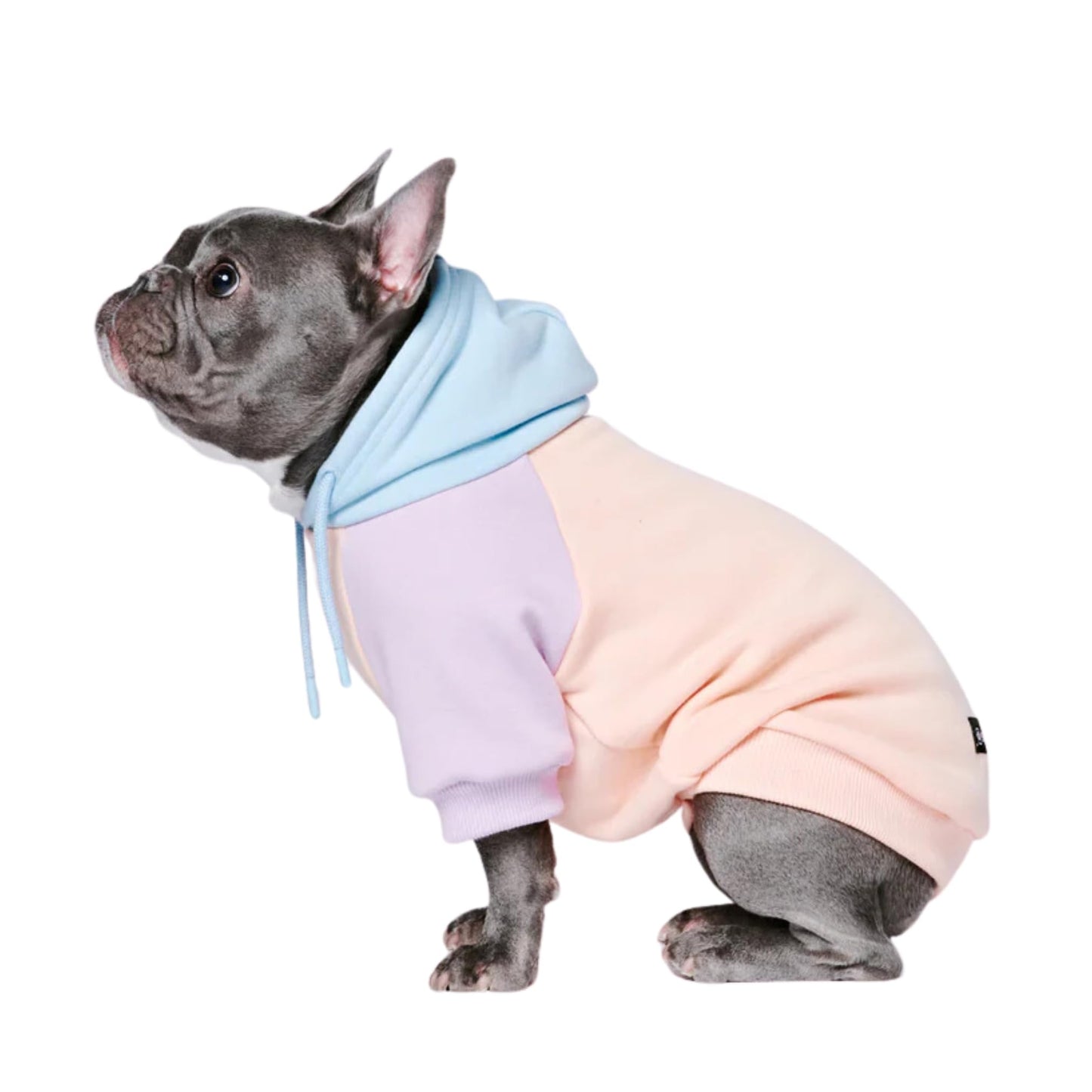 Spark Paws Dog Hoodie - Premium Quality, Buttery Soft, Superior Comfort and Fit, Calming Fleece Interior, Suitable for All Breeds - Cyber Punk - XL