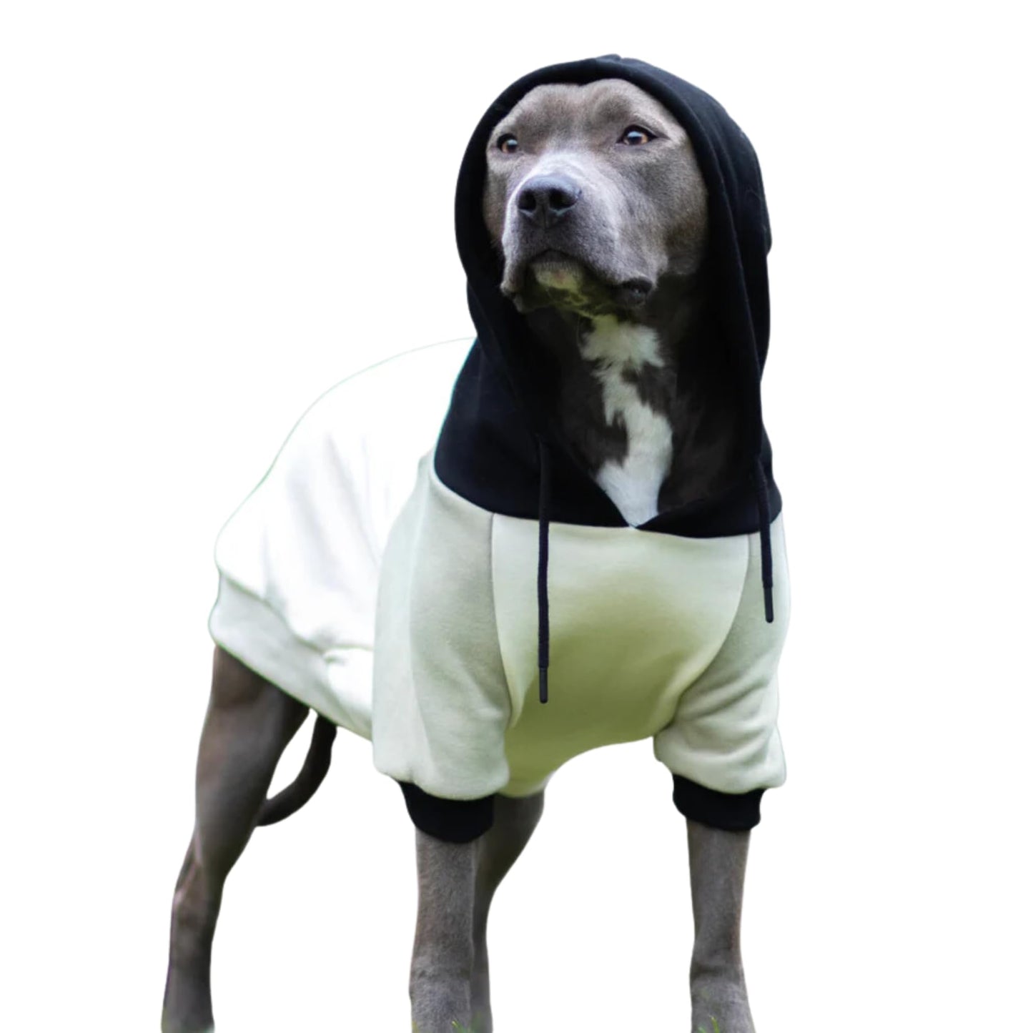 Spark Paws Dog Hoodie - Premium Quality, Buttery Soft, Superior Comfort and Fit, Calming Fleece Interior, Suitable for All Breeds - Cyber Punk - XL