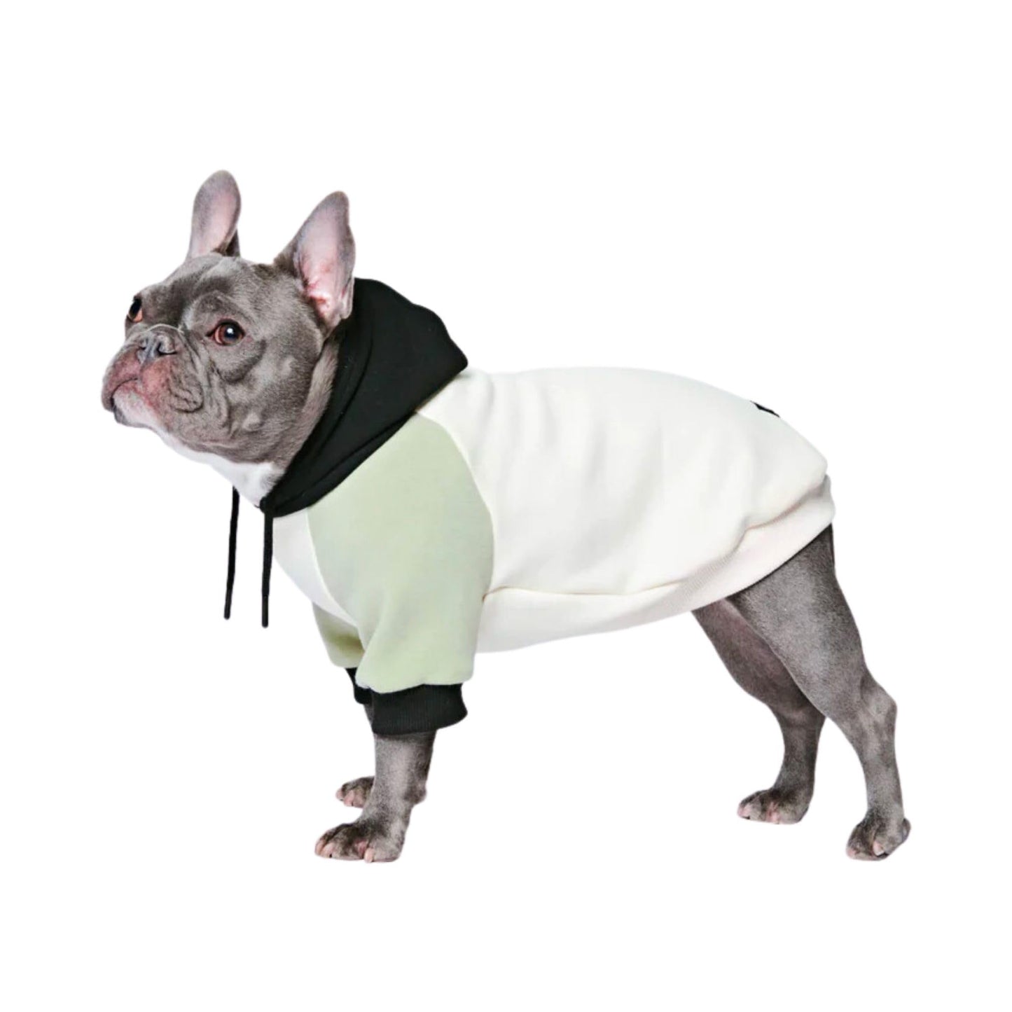 Spark Paws Dog Hoodie - Premium Quality, Buttery Soft, Superior Comfort and Fit, Calming Fleece Interior, Suitable for All Breeds - Cyber Punk - XL