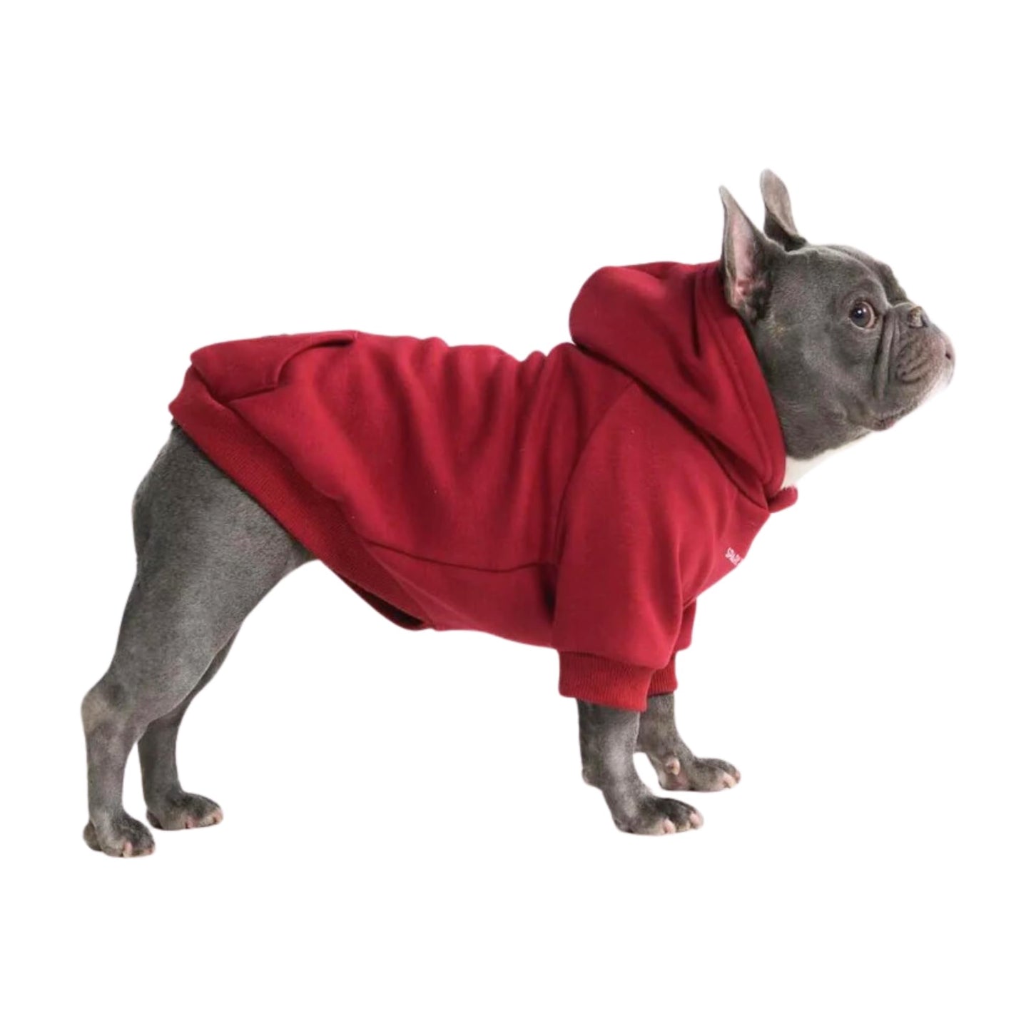 Spark Paws Dog Hoodie - Premium Quality, Buttery Soft, Superior Comfort and Fit, Calming Fleece Interior, Suitable for All Breeds - Cyber Punk - XL