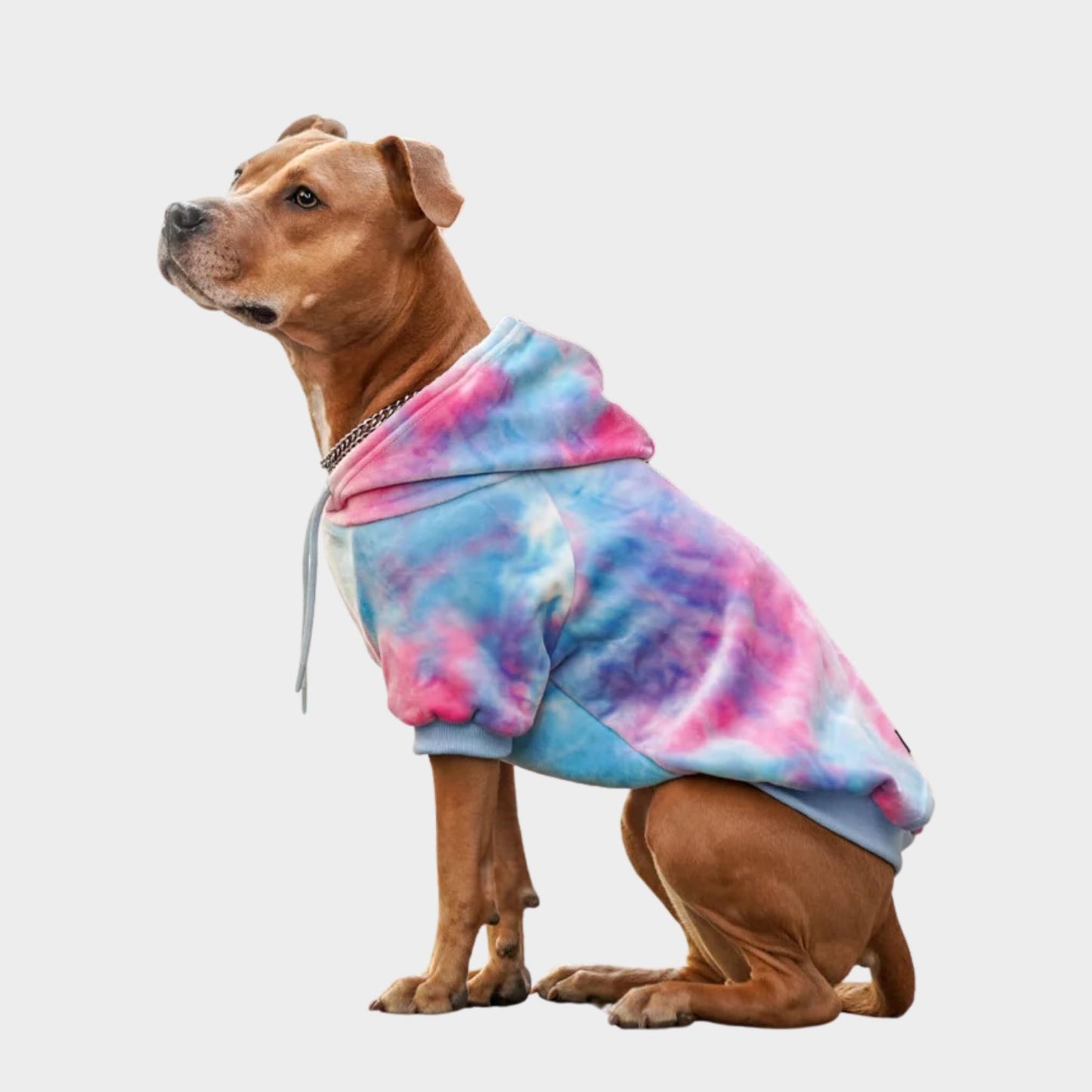 Spark Paws Dog Hoodie - Premium Quality, Buttery Soft, Superior Comfort and Fit, Calming Fleece Interior, Suitable for All Breeds - Cyber Punk - XL