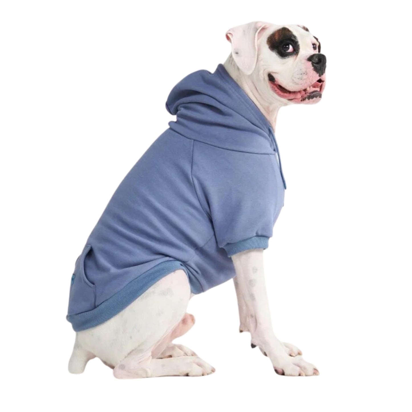 Spark Paws Dog Hoodie - Premium Quality, Buttery Soft, Superior Comfort and Fit, Calming Fleece Interior, Suitable for All Breeds - Cyber Punk - XL