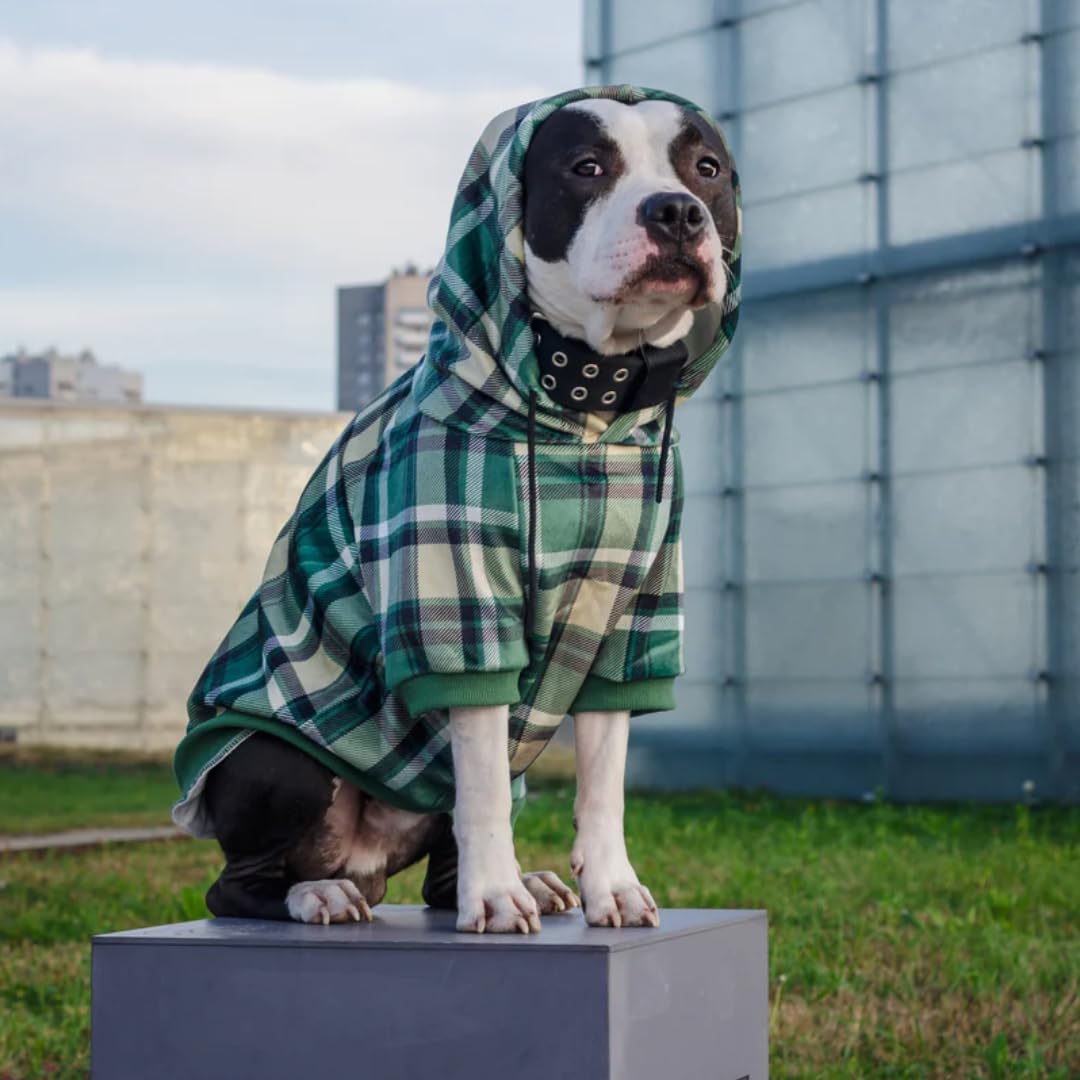 Spark Paws Dog Hoodie - Premium Quality, Buttery Soft, Superior Comfort and Fit, Calming Fleece Interior, Suitable for All Breeds - Cyber Punk - XL