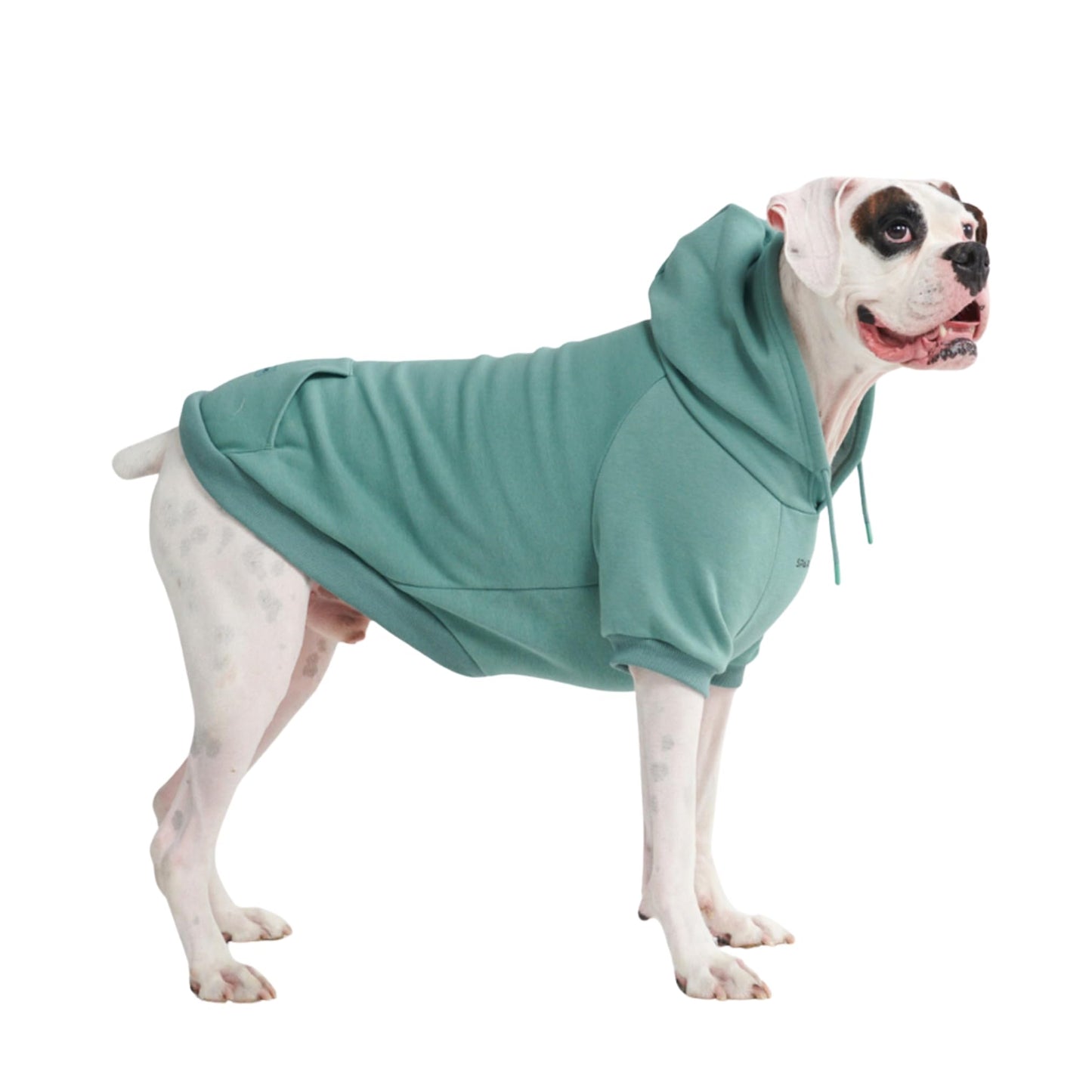 Spark Paws Dog Hoodie - Premium Quality, Buttery Soft, Superior Comfort and Fit, Calming Fleece Interior, Suitable for All Breeds - Cyber Punk - XL