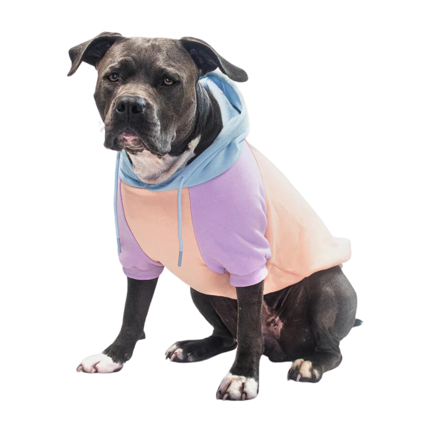 Spark Paws Dog Hoodie - Premium Quality, Buttery Soft, Superior Comfort and Fit, Calming Fleece Interior, Suitable for All Breeds - Cyber Punk - XL