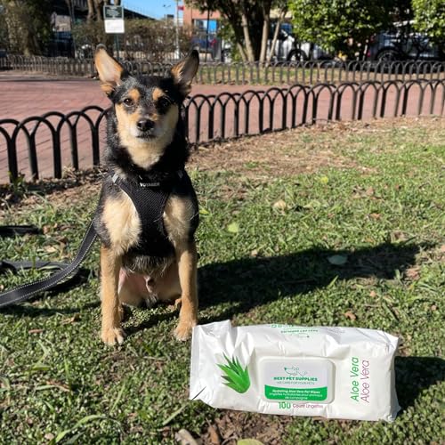 Best Pet Supplies 8" x 9" Pet Grooming Wipes for Dogs & Cats, 100 Pack, Plant-Based Deodorizer for Coats & Dry, Itchy, or Sensitive Skin, Clean Ears, Paws & Butt - Hydrating Aloe Vera (Unscented)