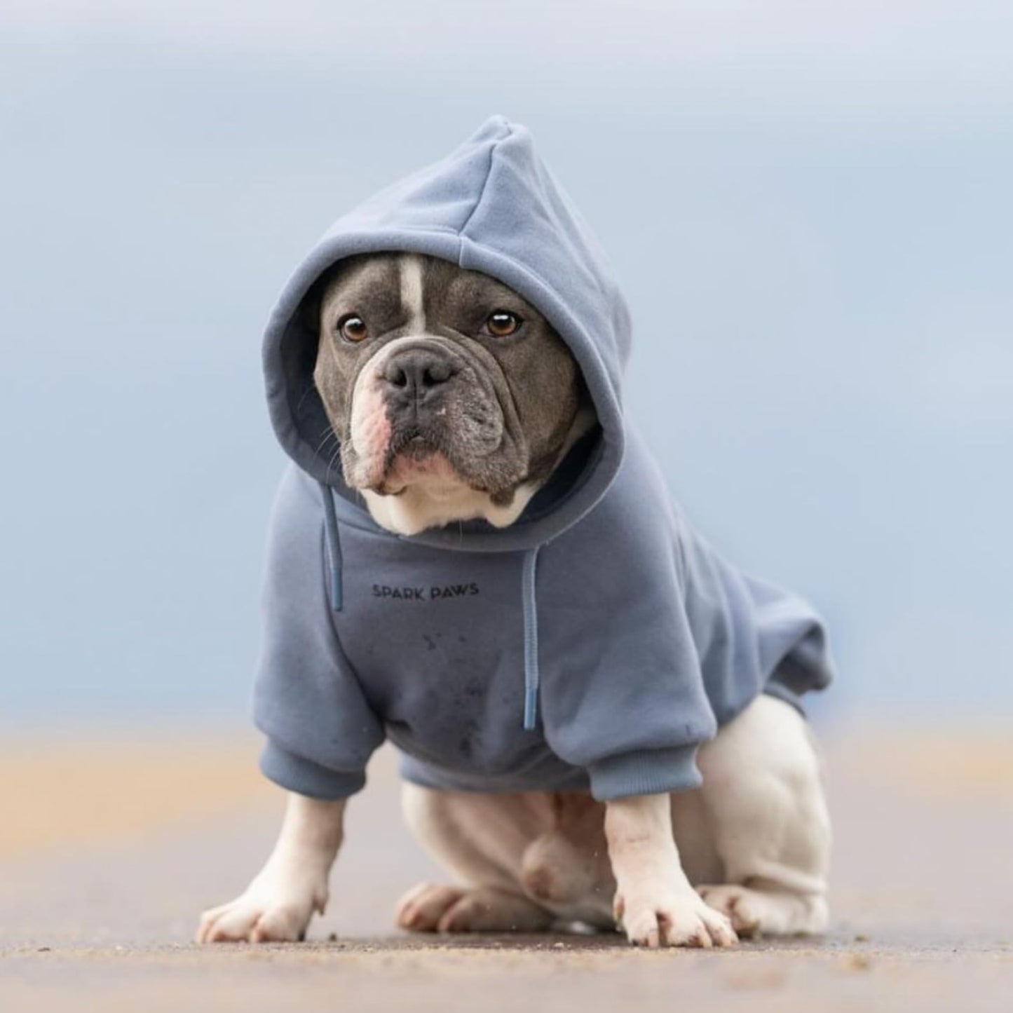 Spark Paws Dog Hoodie - Premium Quality, Buttery Soft, Superior Comfort and Fit, Calming Fleece Interior, Suitable for All Breeds - Cyber Punk - XL