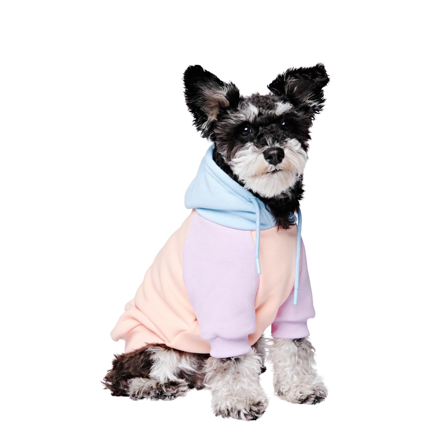 Spark Paws Dog Hoodie - Premium Quality, Buttery Soft, Superior Comfort and Fit, Calming Fleece Interior, Suitable for All Breeds - Cyber Punk - XL