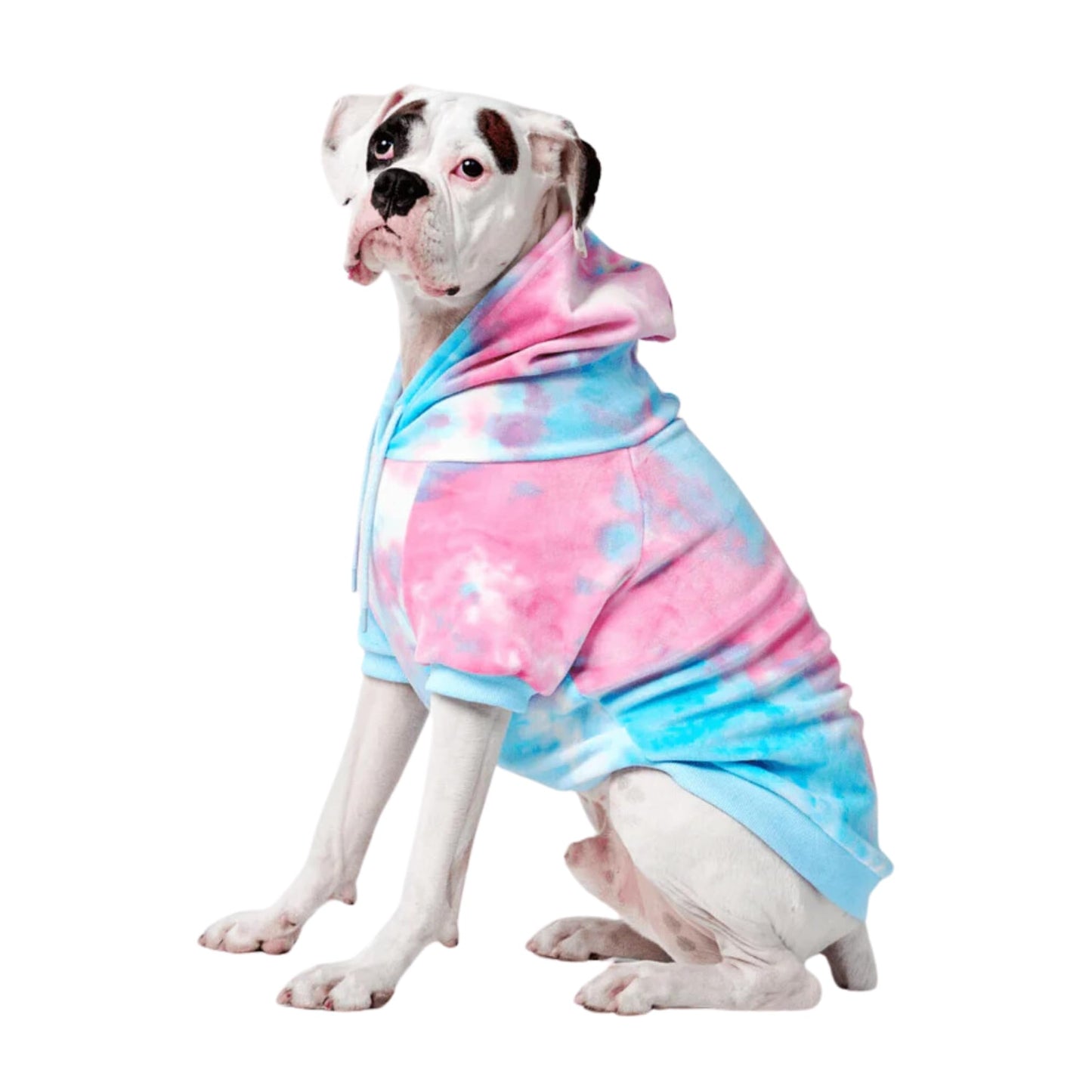 Spark Paws Dog Hoodie - Premium Quality, Buttery Soft, Superior Comfort and Fit, Calming Fleece Interior, Suitable for All Breeds - Cyber Punk - XL