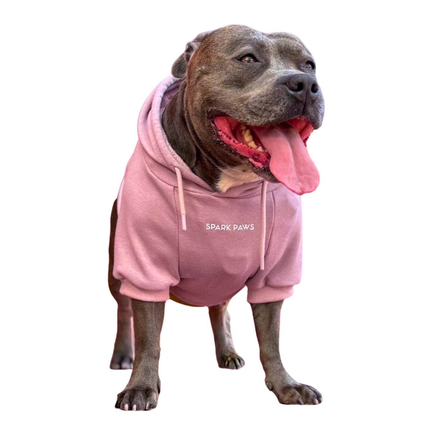 Spark Paws Dog Hoodie - Premium Quality, Buttery Soft, Superior Comfort and Fit, Calming Fleece Interior, Suitable for All Breeds - Cyber Punk - XL