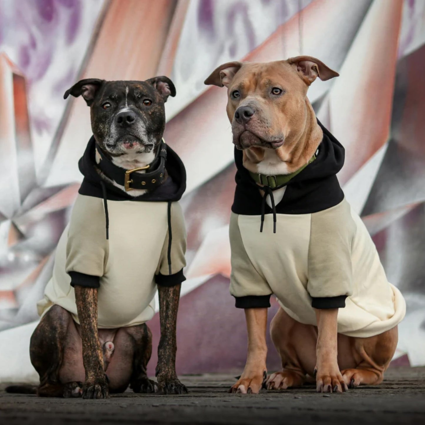 Spark Paws Dog Hoodie - Premium Quality, Buttery Soft, Superior Comfort and Fit, Calming Fleece Interior, Suitable for All Breeds - Cyber Punk - XL