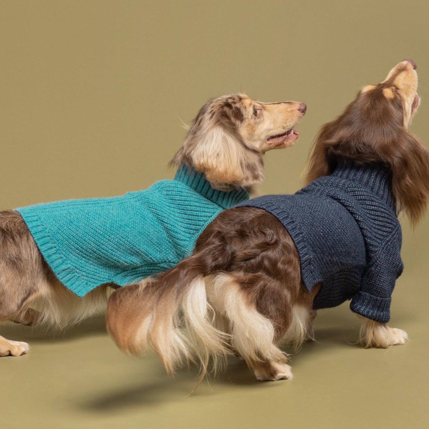 Fitwarm Thermal Knitted Dog Sweater Doggy Winter Coat Pet Clothes Doggie Turtleneck Jacket Puppy Outfits Cat Sweatsuit Sage Green Medium