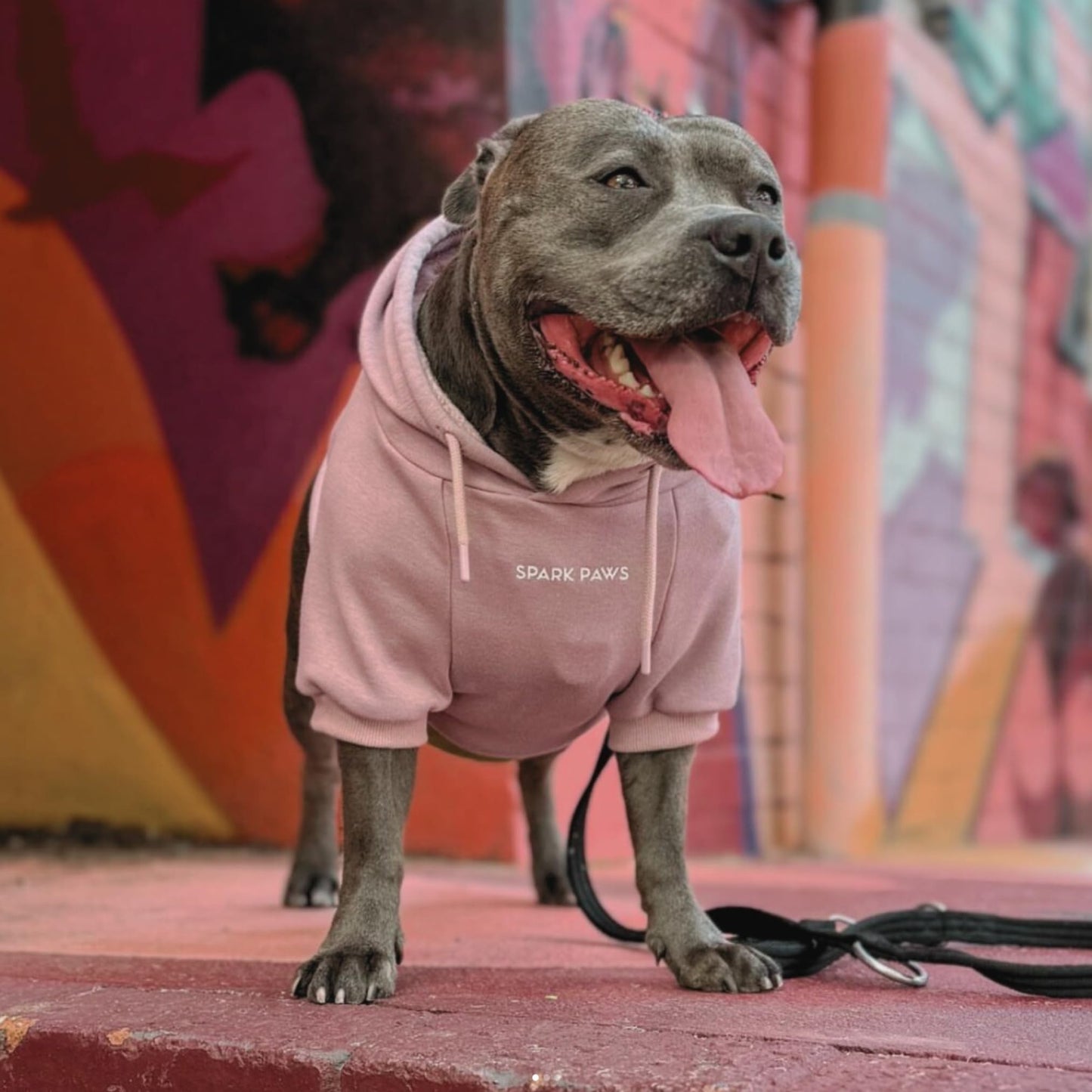 Spark Paws Dog Hoodie - Premium Quality, Buttery Soft, Superior Comfort and Fit, Calming Fleece Interior, Suitable for All Breeds - Cyber Punk - XL