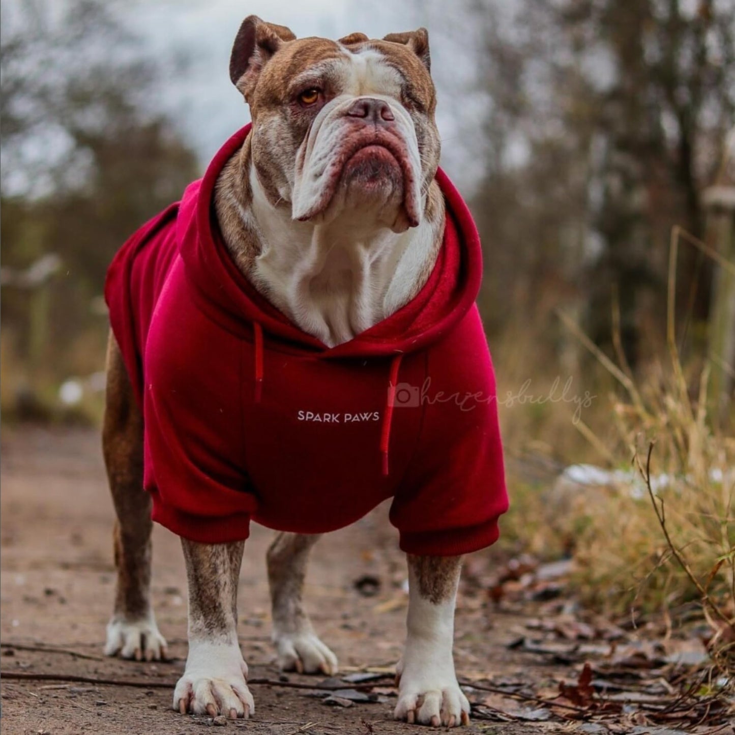 Spark Paws Dog Hoodie - Premium Quality, Buttery Soft, Superior Comfort and Fit, Calming Fleece Interior, Suitable for All Breeds - Cyber Punk - XL