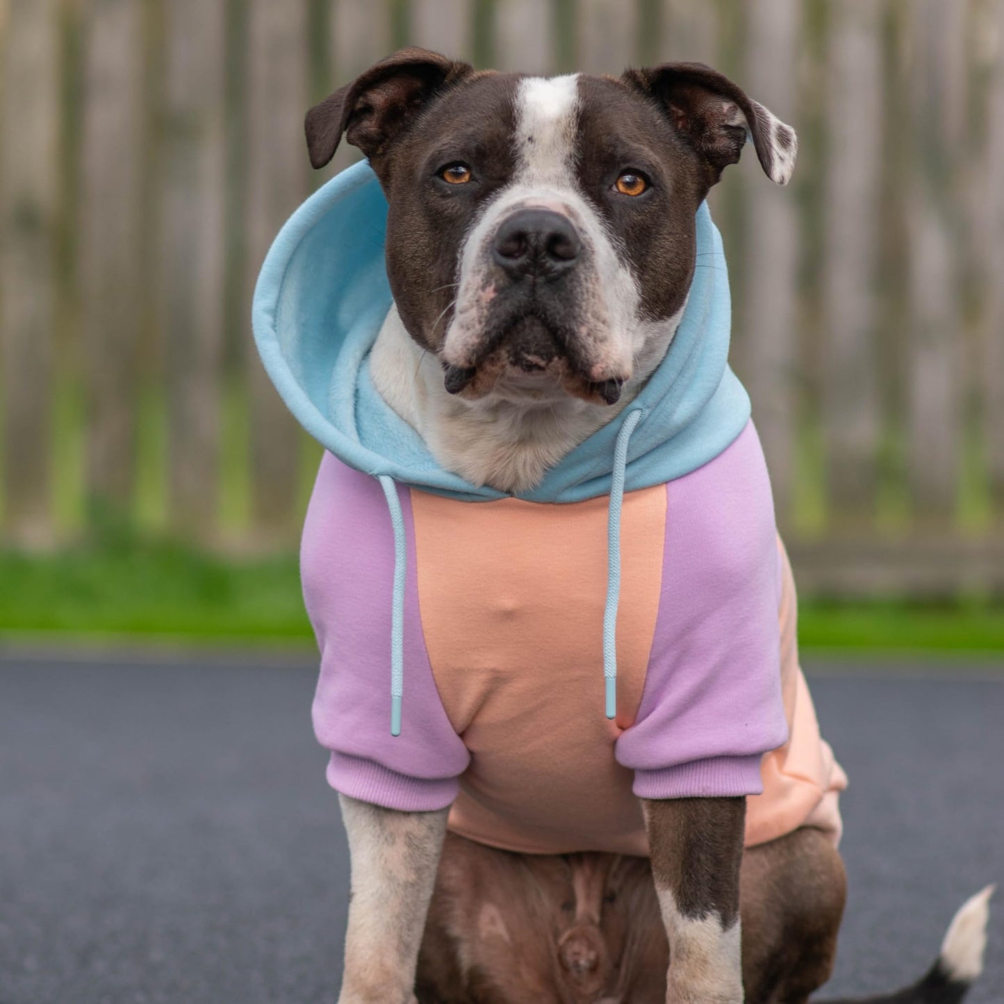 Spark Paws Dog Hoodie - Premium Quality, Buttery Soft, Superior Comfort and Fit, Calming Fleece Interior, Suitable for All Breeds - Cyber Punk - XL