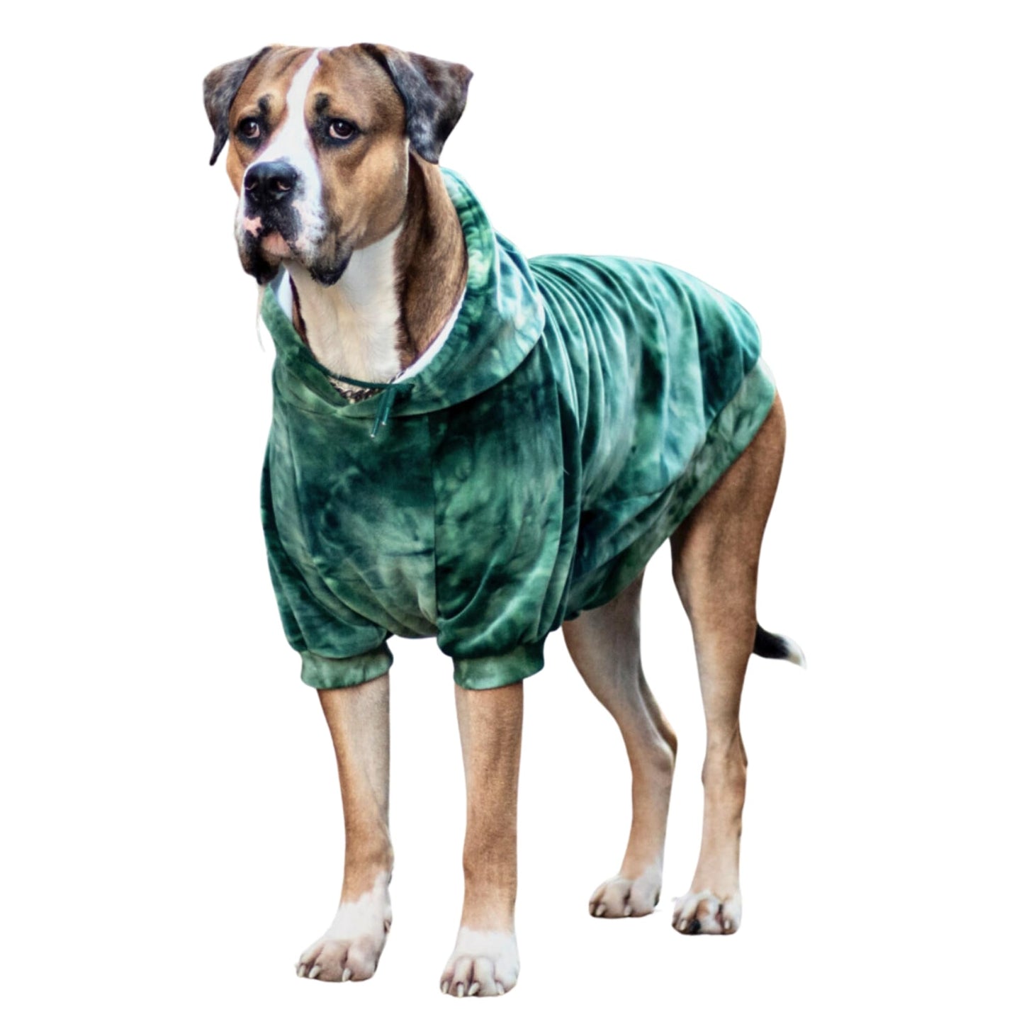 Spark Paws Dog Hoodie - Premium Quality, Buttery Soft, Superior Comfort and Fit, Calming Fleece Interior, Suitable for All Breeds - Cyber Punk - XL