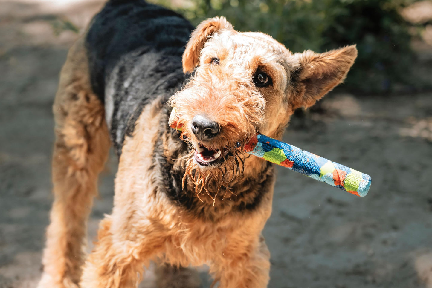 Chuckit Ultra Fetch Stick Outdoor Dog Toy, 12 Inches, for All Breed Sizes