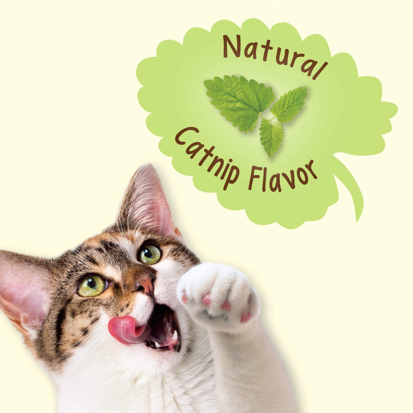 Purina Friskies Natural Cat Treats Party Mix Natural Yums With Real Salmon and Added Vitamins, Minerals and Nutrients - 20 oz. Canister