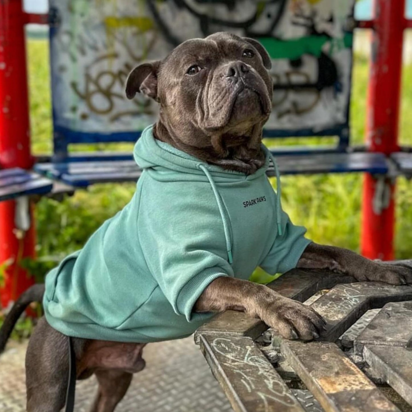 Spark Paws Dog Hoodie - Premium Quality, Buttery Soft, Superior Comfort and Fit, Calming Fleece Interior, Suitable for All Breeds - Cyber Punk - XL