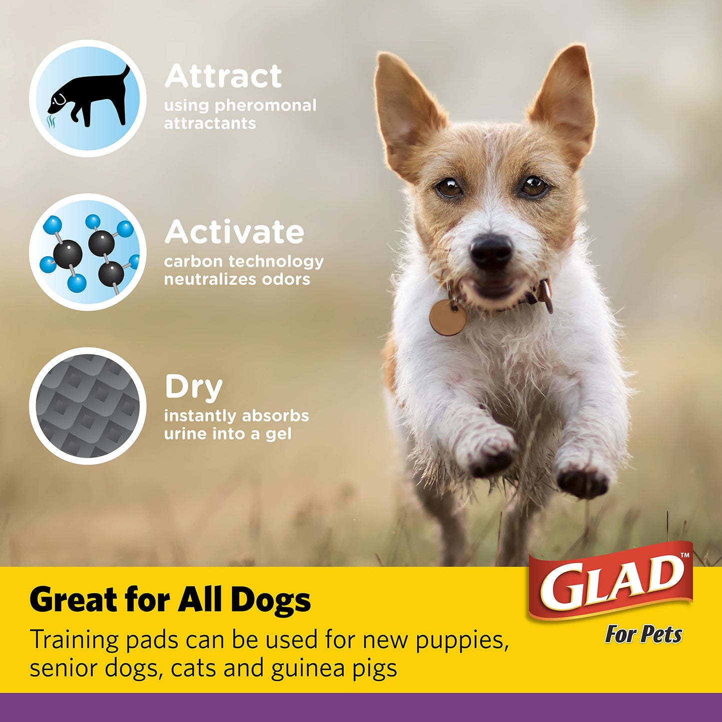 Glad for Pets Extra Large Charcoal Dog Training Pads - Absorbent Disposable Pee Pads for Dogs, Cats & Puppies - Jumbo-Size Potty Pads that Neutralize Urine Instantly - 30 Count Pet Supplies