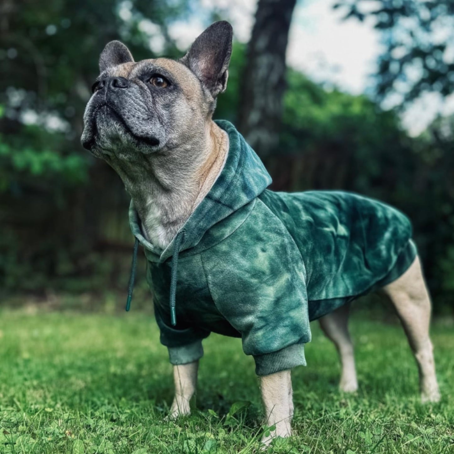 Spark Paws Dog Hoodie - Premium Quality, Buttery Soft, Superior Comfort and Fit, Calming Fleece Interior, Suitable for All Breeds - Cyber Punk - XL