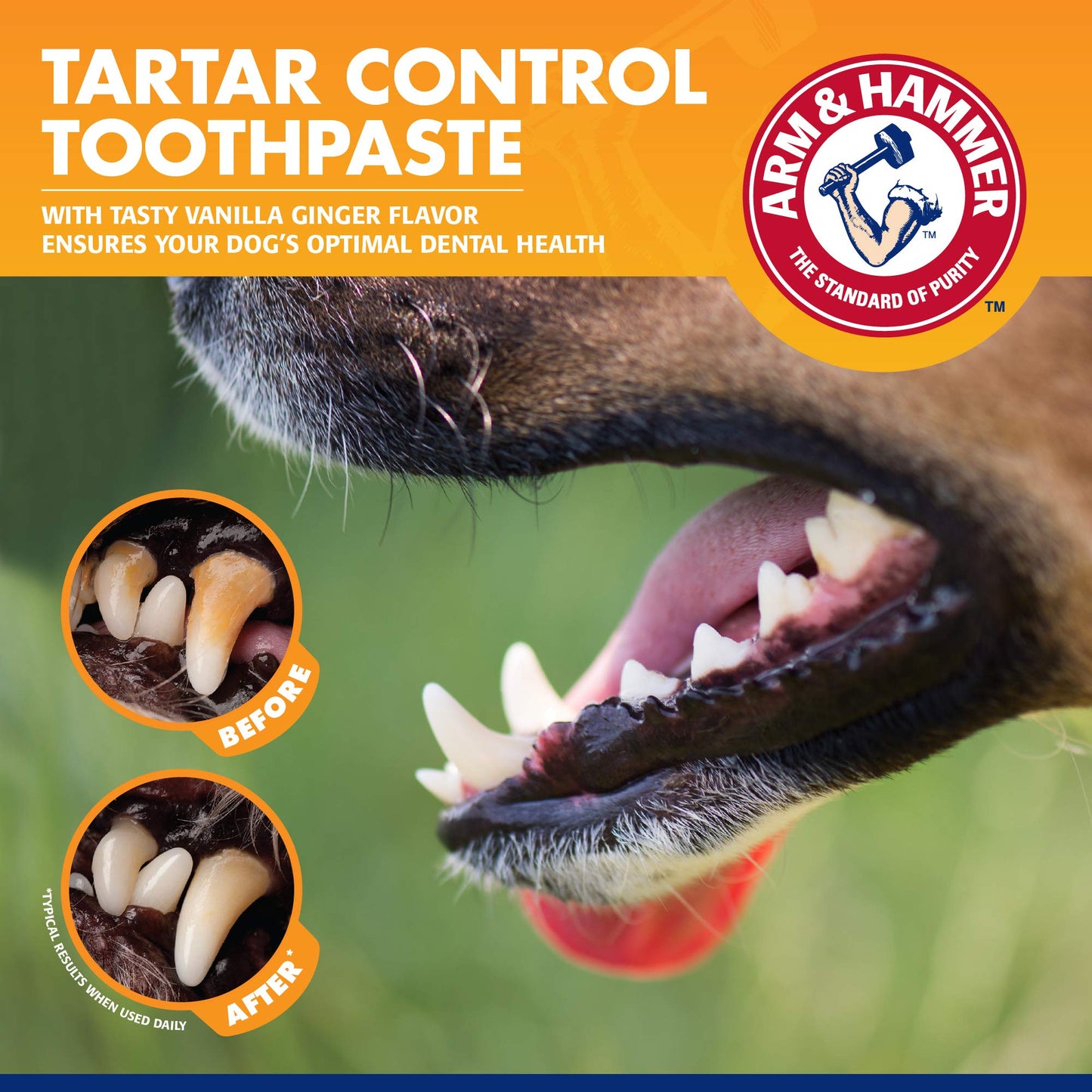 Arm & Hammer for Pets Tartar Control Kit for Dogs | Contains Toothpaste, Toothbrush & Fingerbrush | Reduces Plaque & Tartar Buildup | Safe for Puppies, 3-Piece , Beef Flavor