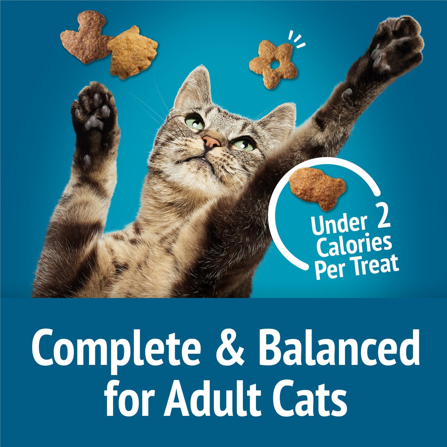 Purina Friskies Natural Cat Treats Party Mix Natural Yums With Real Salmon and Added Vitamins, Minerals and Nutrients - 20 oz. Canister