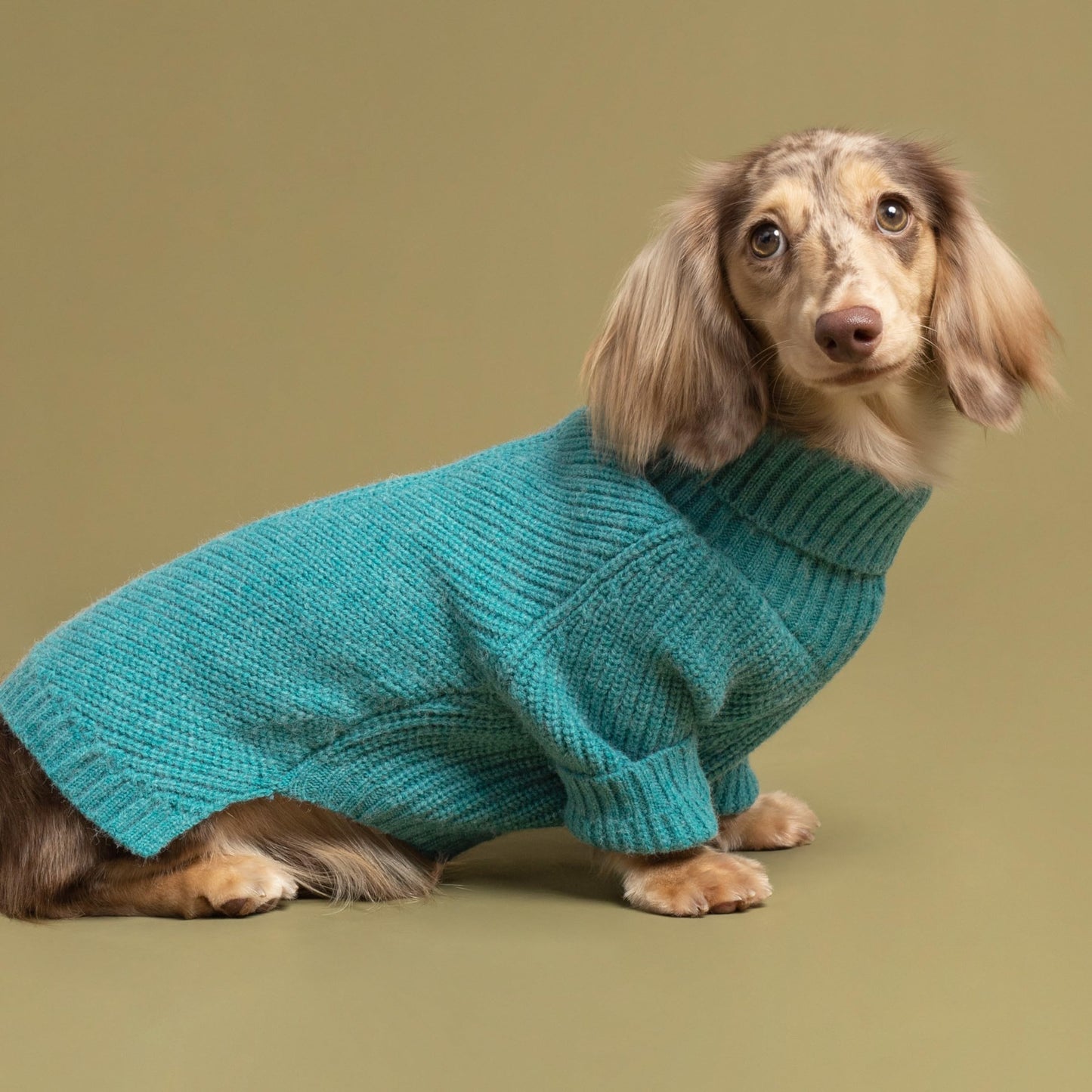 Fitwarm Thermal Knitted Dog Sweater Doggy Winter Coat Pet Clothes Doggie Turtleneck Jacket Puppy Outfits Cat Sweatsuit Sage Green Medium